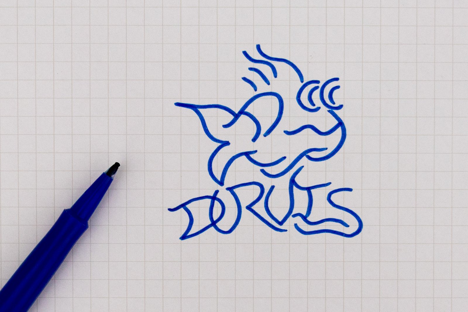 Durvis sketch outline on grid paper.