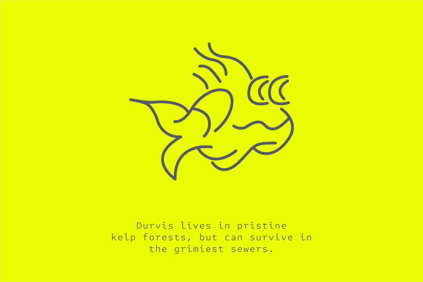 Durvis logo displayed in Porra yellow, representing the brand’s resilience across pristine and urban environments.