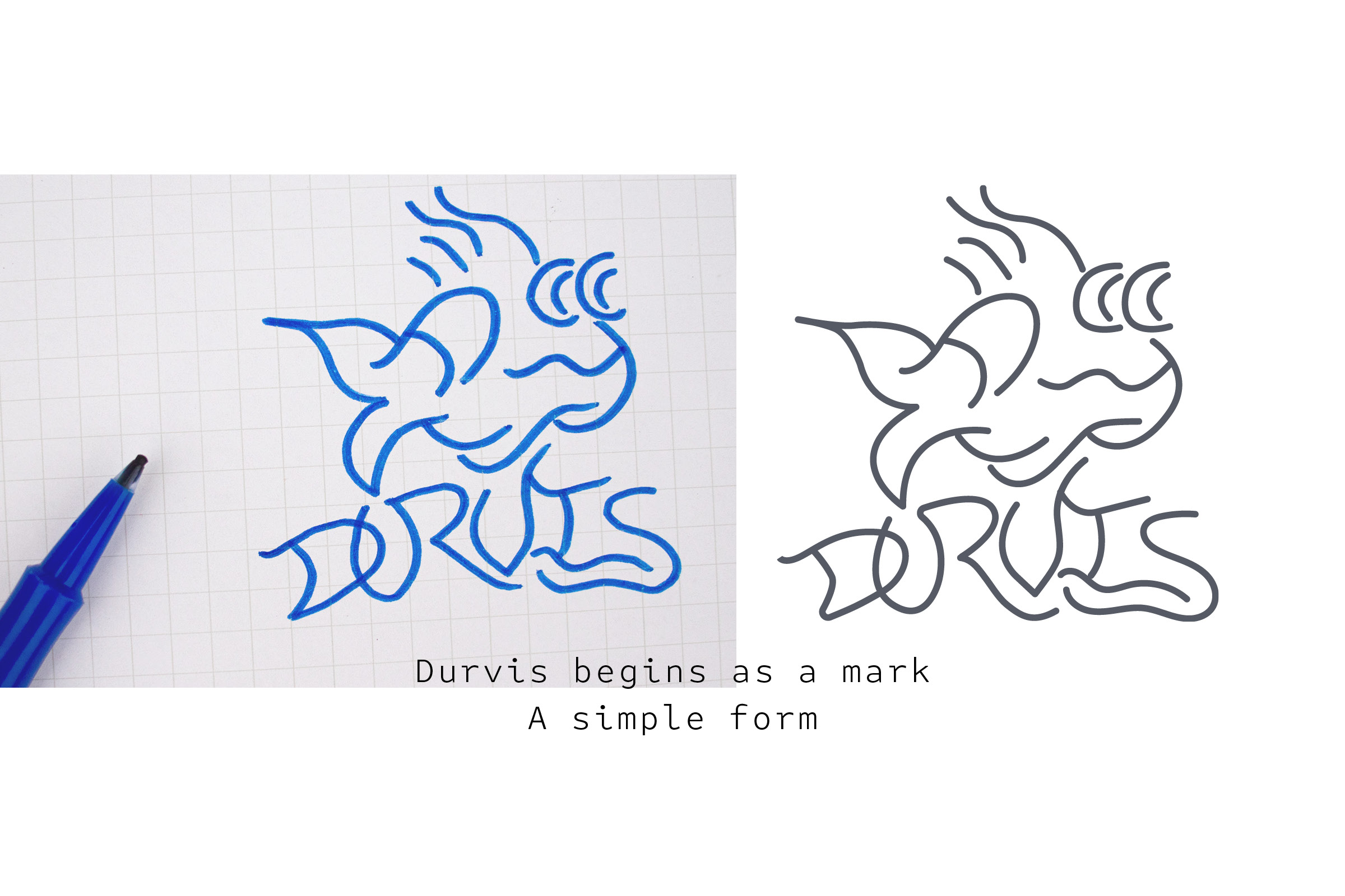 Durvis logo sketch and refined vector showing mark development
