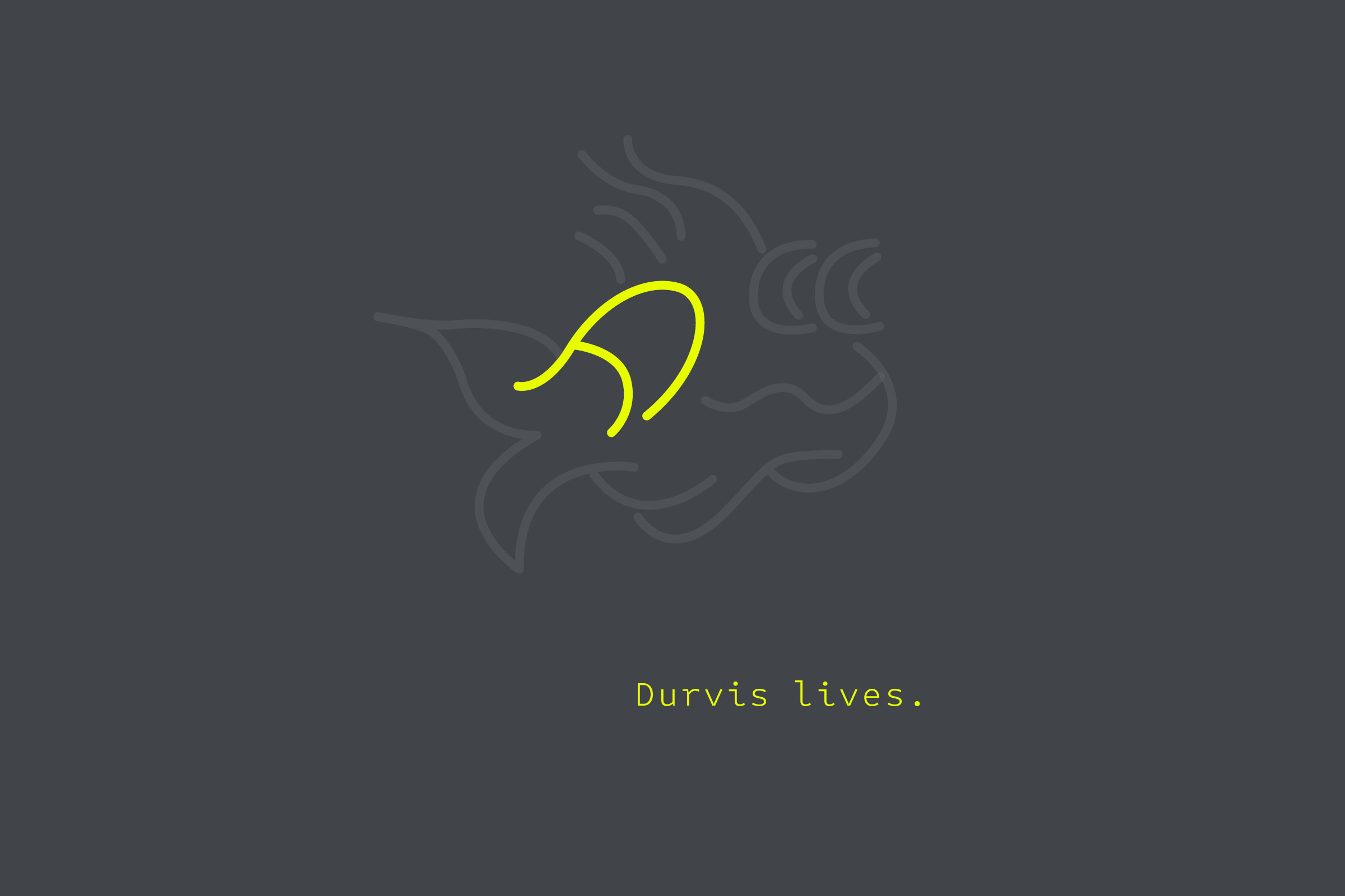 Minimal Durvis logo composition with highlighted line detail on dark background