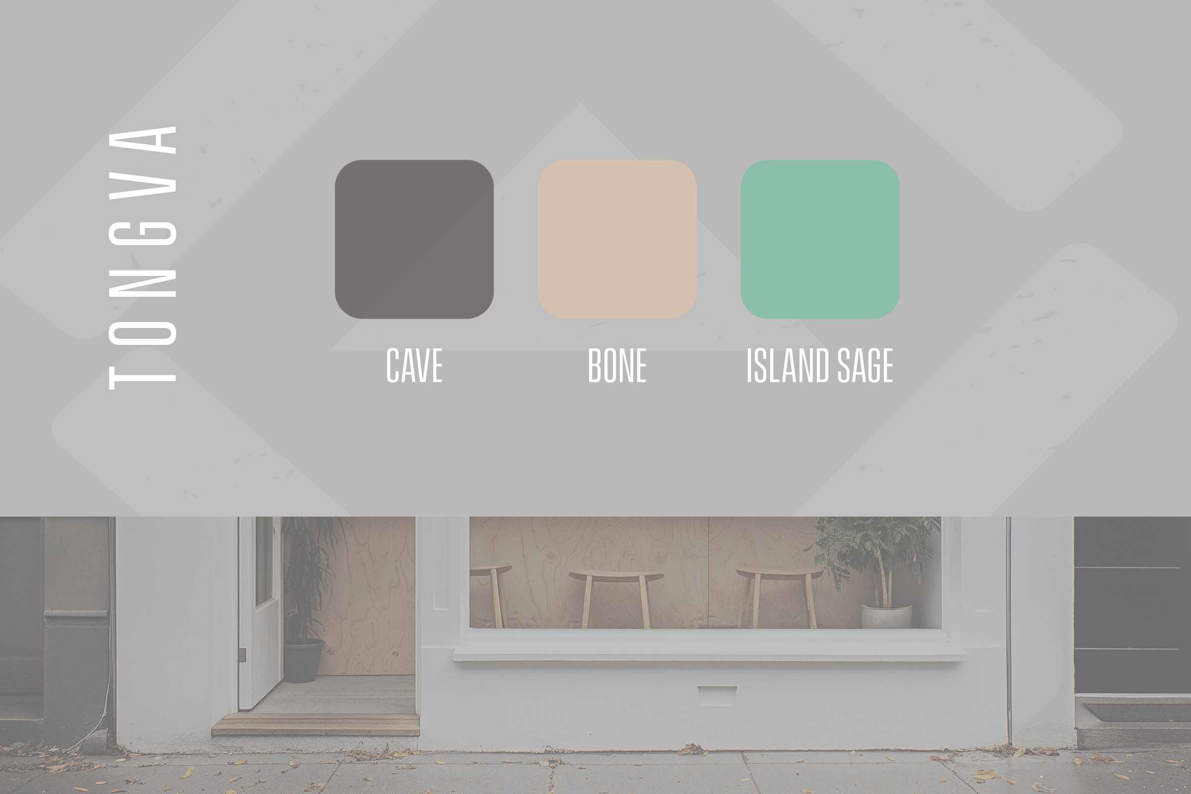 TONGVA brand direction divider showing palette and material tones.